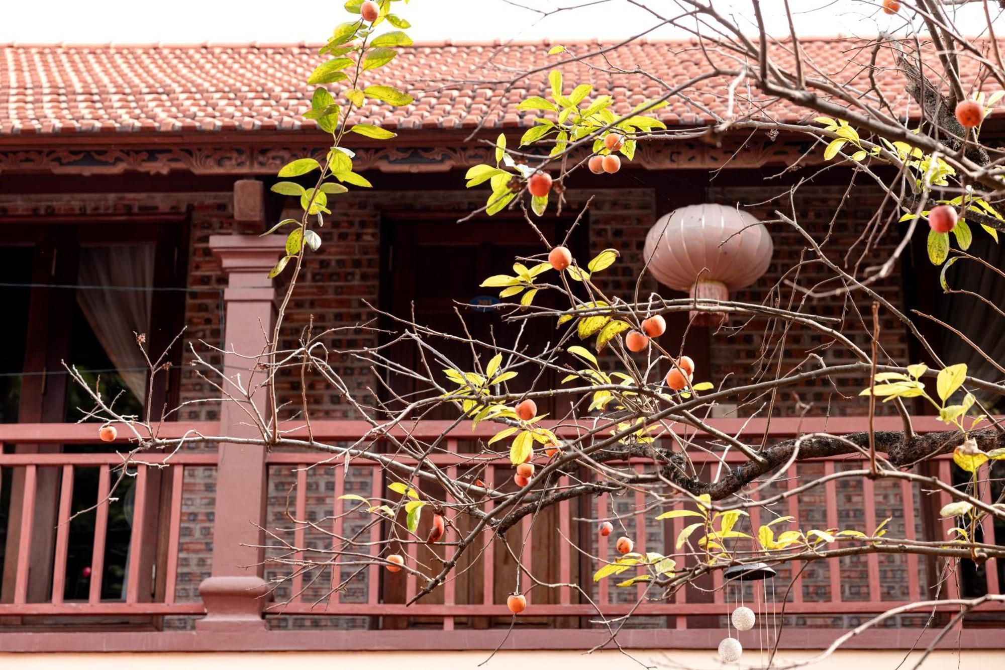 Tam Coc Ngoc Linh Bungalow Ninh Binh Eksteriør billede