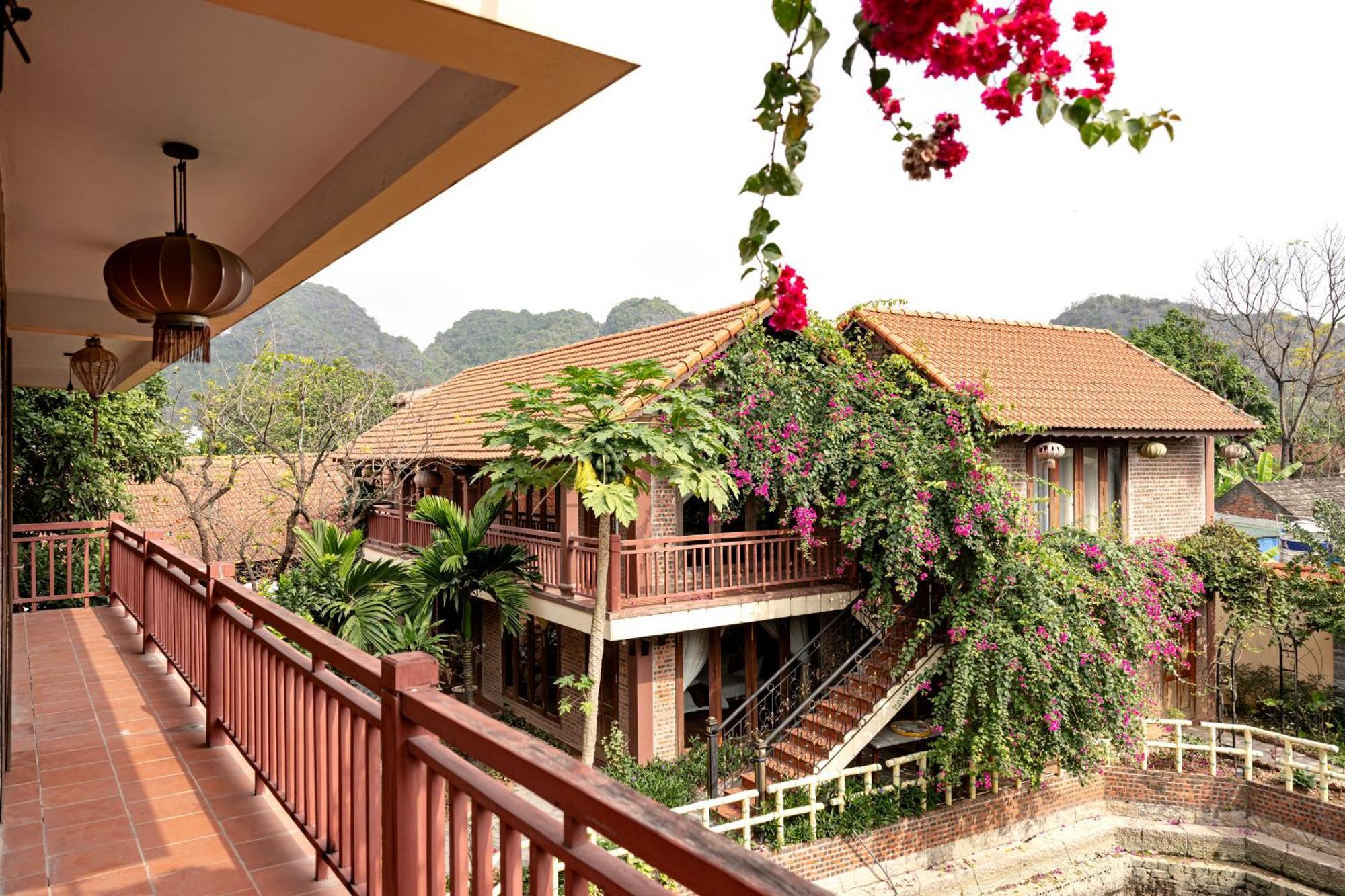 Tam Coc Ngoc Linh Bungalow Ninh Binh Eksteriør billede